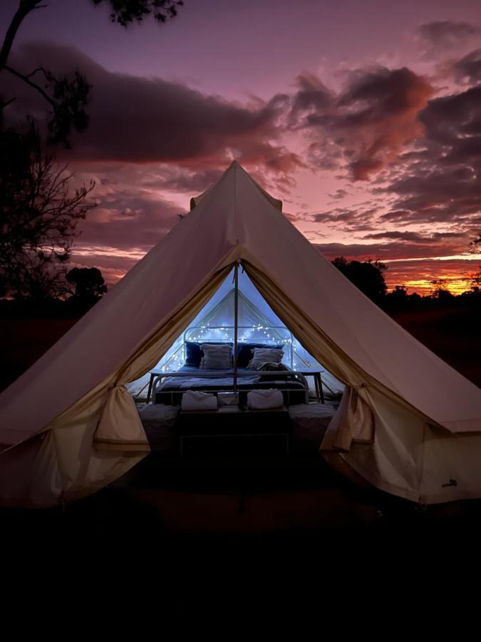 Mungo Lodge Экстерьер фото