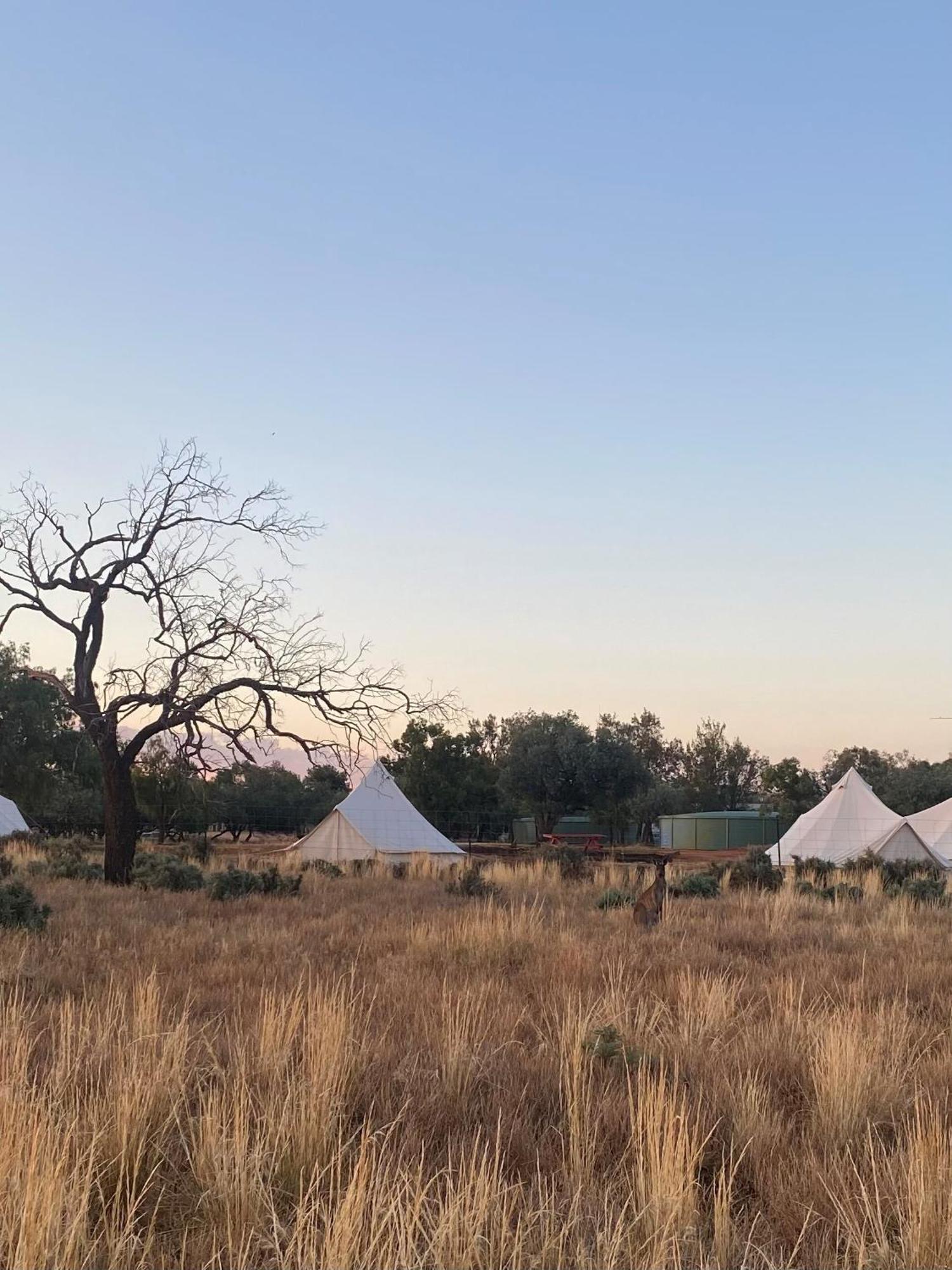 Mungo Lodge Экстерьер фото